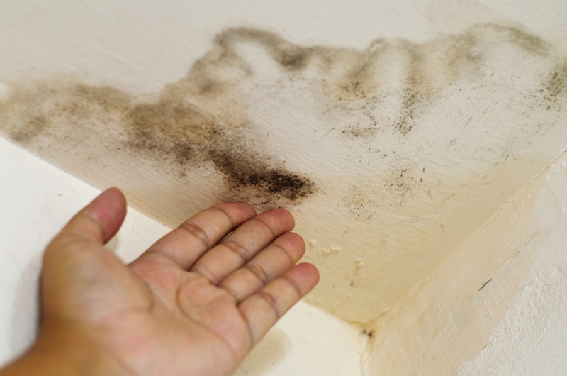 Moisture in the home can create health hazards.
