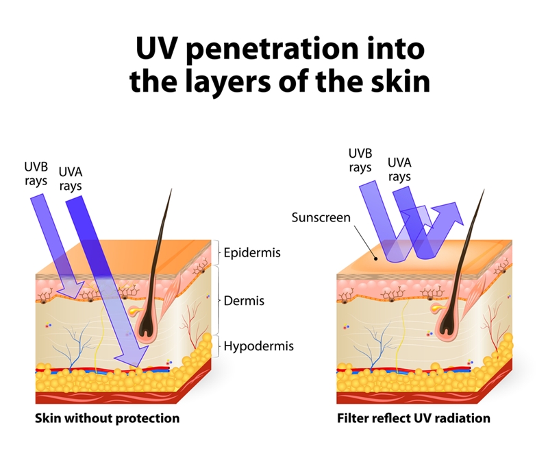 This image shows how sunscreen can protect your ageing skin from the sun's harmful rays.