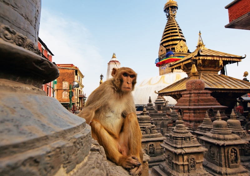 Do you know which way to walk around a Nepalese temple?