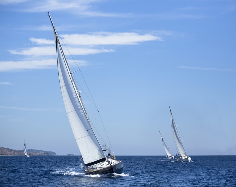 Come see what makes sailing in Sydney so exciting.