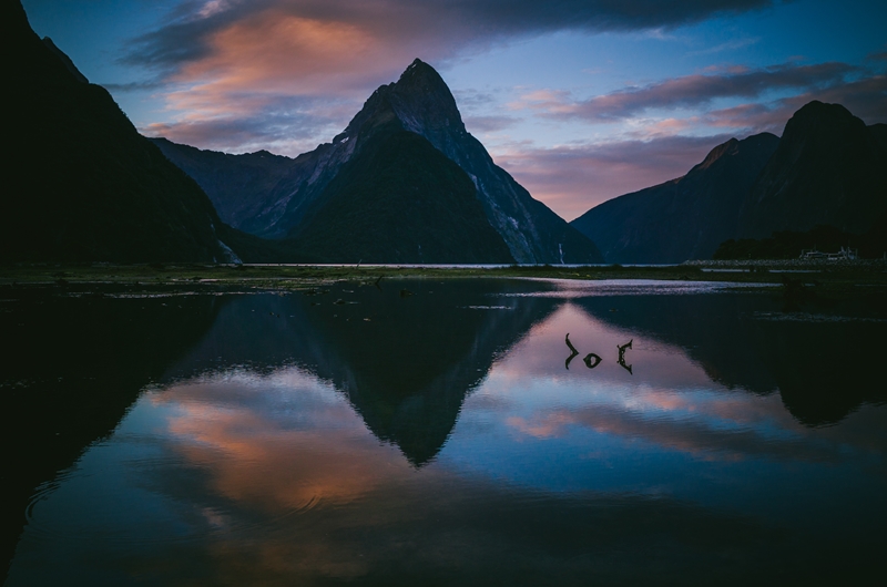 Over 30% of land in New Zealand is dedicated to national parks and other protected areas.